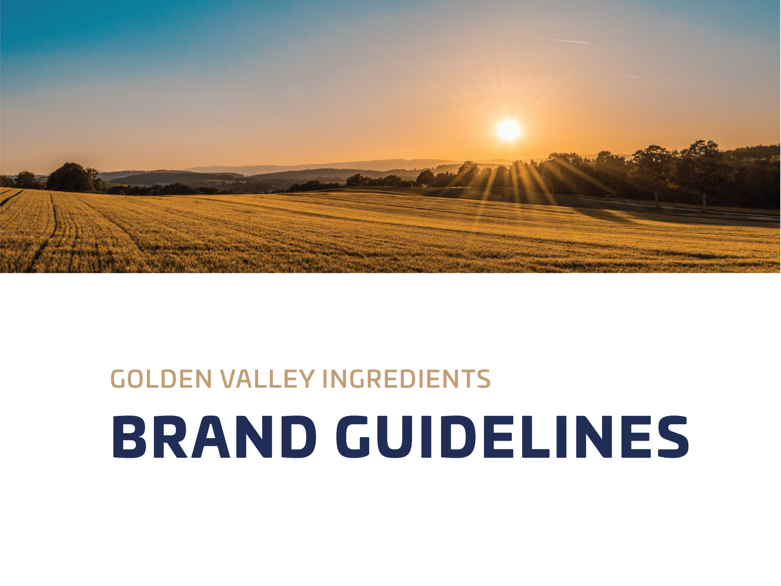 GVI-brand-guidline-book-final-2020-may-11_Page_01