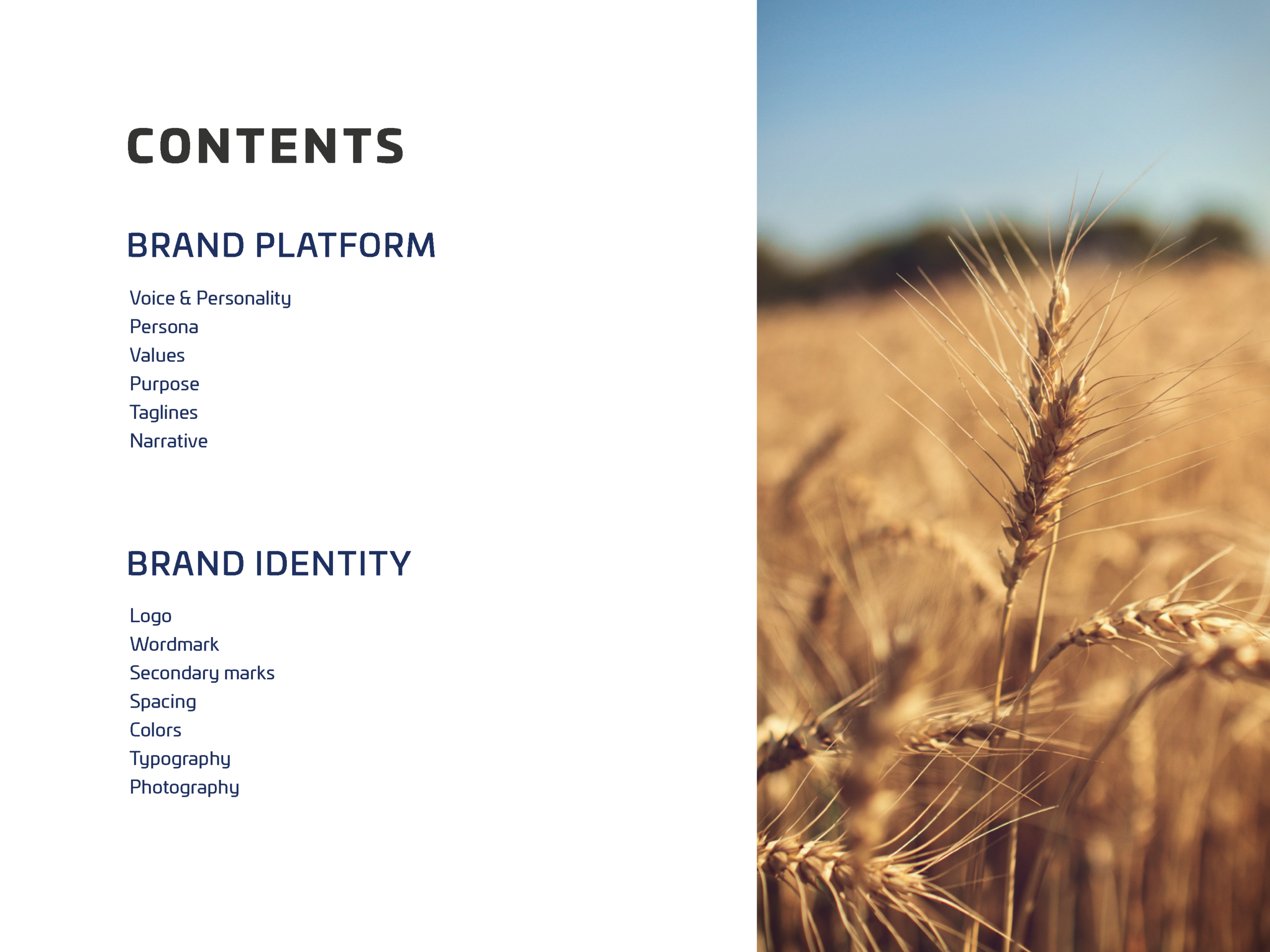 GVI-brand-guidline-book-final-2020-may-11_Page_03