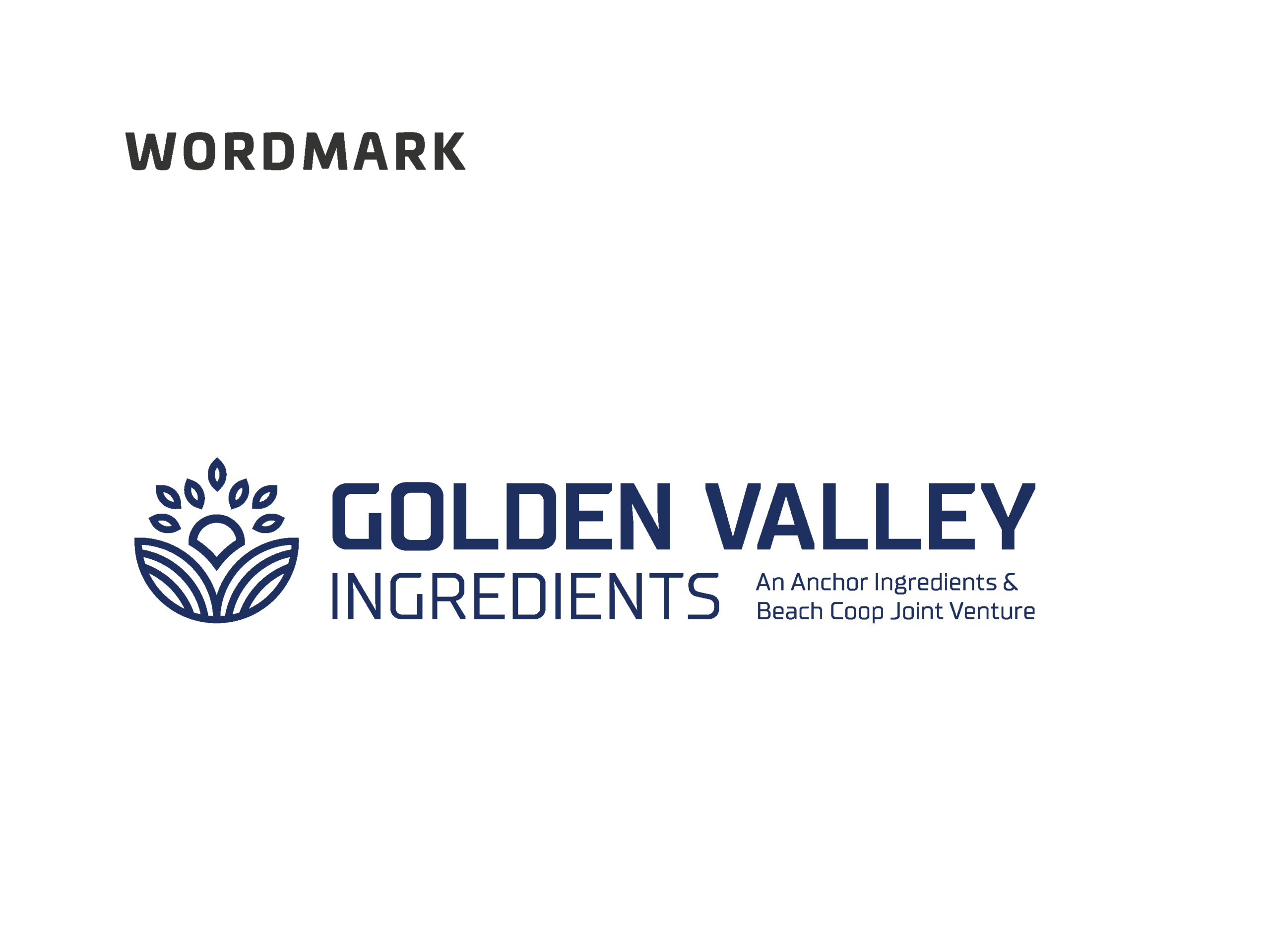 GVI-brand-guidline-book-final-2020-may-11_Page_09